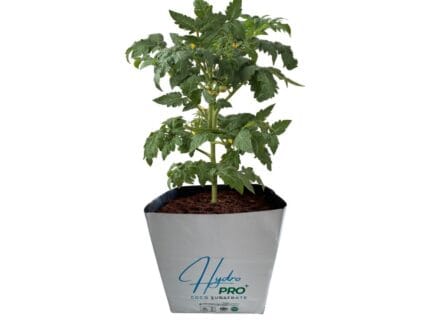 Substrat cultivare din cocos Open Top